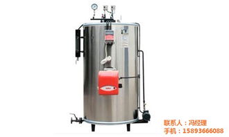 蒸汽鍋爐 蒸汽鍋爐哪個牌子好 蒸汽鍋爐在線報價 優質商家